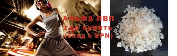 стафф Белокуриха