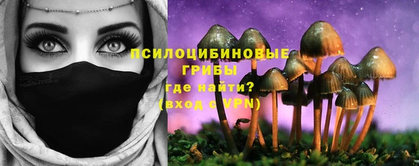 дживик Покачи