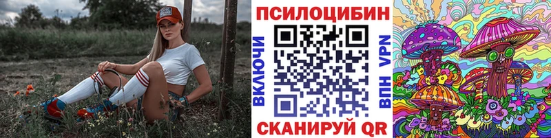 Галлюциногенные грибы Magic Shrooms  где можно купить   Киров 
